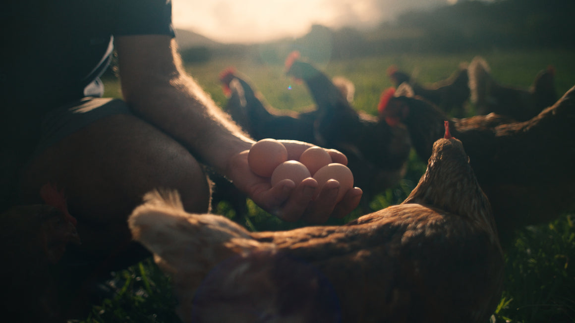 Farmer's Footprint and the Regenerative Revolution