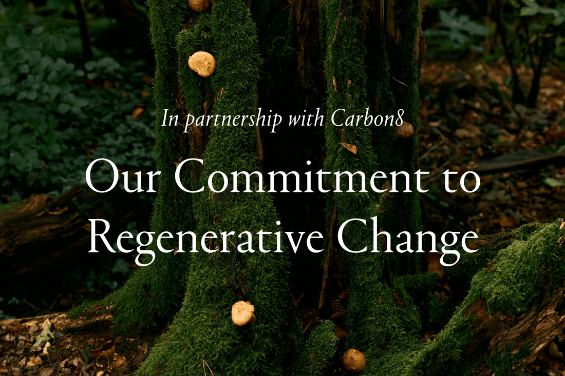 Nourishing Roots: Salt Lab's Commitment to Regenerative Change - Salt Lab