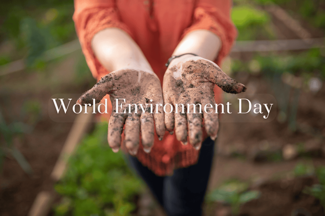 World Environment Day - Salt Lab